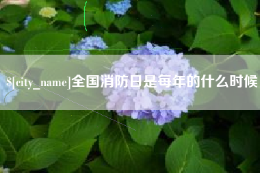 阳春全国消防日是每年的什么时候