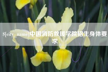 阳春中国消防救援学院招生身体要求