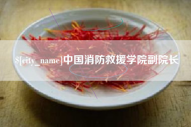 阳春中国消防救援学院副院长