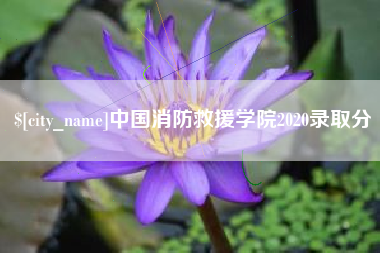 阳春中国消防救援学院2020录取分