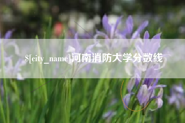 阳春河南消防大学分数线