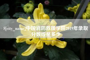 阳春中国消防救援学院2019年录取分数线是多少
