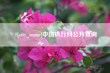 阳春中国执行网公开查询