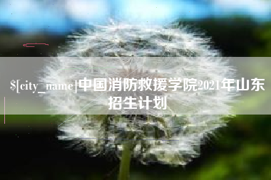 阳春中国消防救援学院2021年山东招生计划
