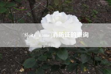 阳春消防证的查询