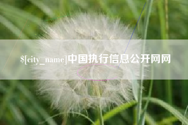 阳春中国执行信息公开网网