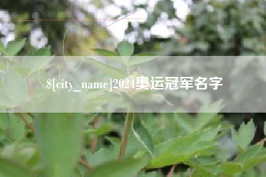 阳春2024奥运冠军名字