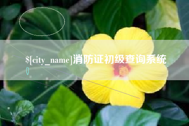 阳春消防证初级查询系统