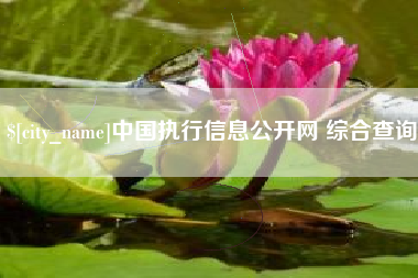 阳春中国执行信息公开网 综合查询
