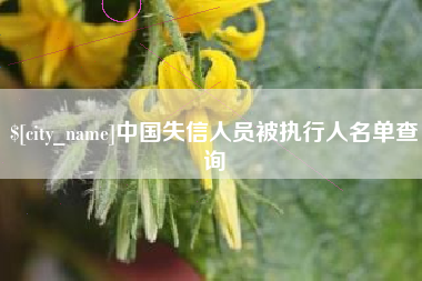 阳春中国失信人员被执行人名单查询