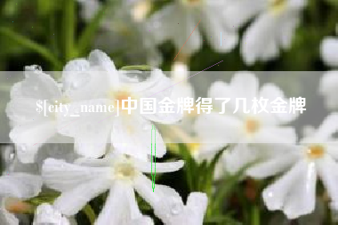 阳春中国金牌得了几枚金牌