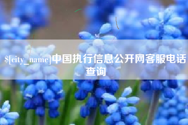 阳春中国执行信息公开网客服电话查询