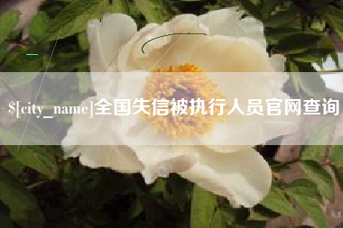 阳春全国失信被执行人员官网查询