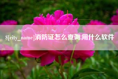 阳春消防证怎么查询,用什么软件