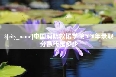 阳春中国消防救援学院2020年录取分数线是多少