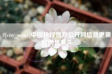 阳春中国执行信息公开网信息更新时间是多久