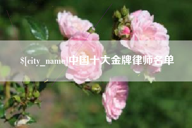 阳春中国十大金牌律师名单