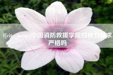 阳春中国消防救援学院对视力要求严格吗