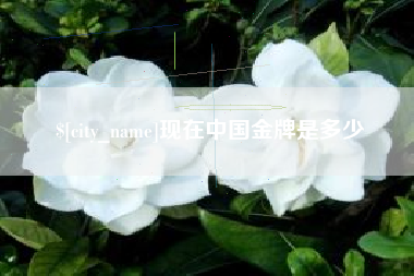 阳春现在中国金牌是多少