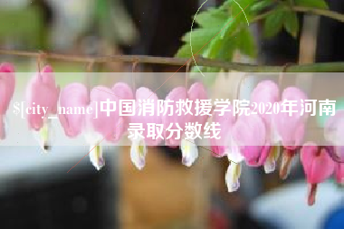 阳春中国消防救援学院2020年河南录取分数线