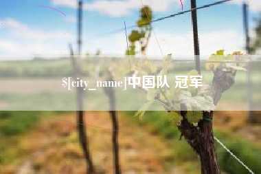 阳春中国队 冠军