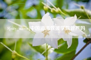 阳春中国消防救援学院管严吗