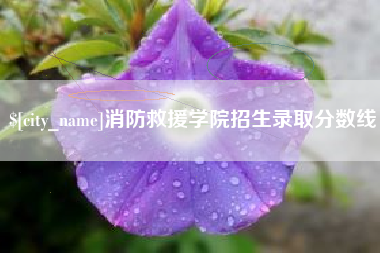 阳春消防救援学院招生录取分数线