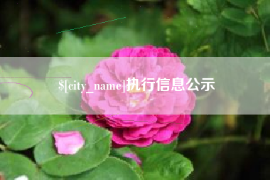 阳春执行信息公示