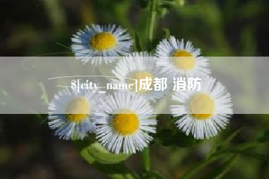 阳春成都 消防
