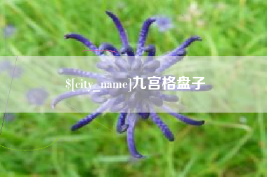 阳春九宫格盘子