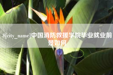 阳春中国消防救援学院毕业就业前景如何