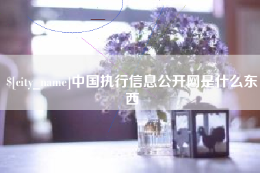 阳春中国执行信息公开网是什么东西