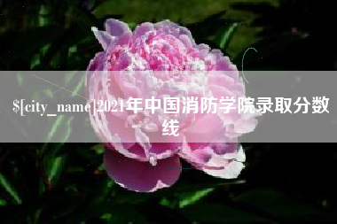 阳春2021年中国消防学院录取分数线