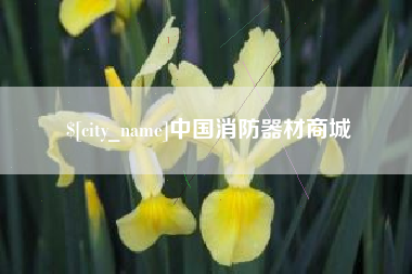 阳春中国消防器材商城