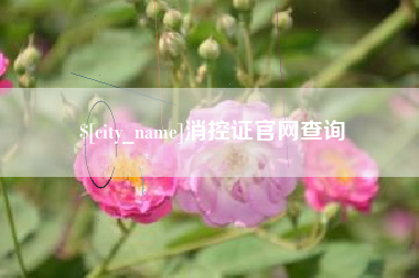 阳春消控证官网查询