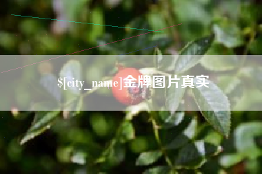 阳春金牌图片真实