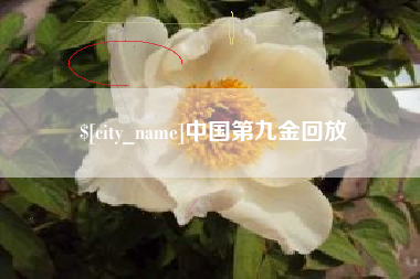 阳春中国第九金回放