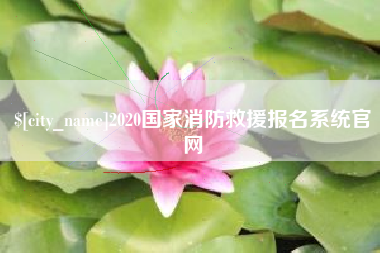 阳春2020国家消防救援报名系统官网