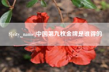 阳春中国第九枚金牌是谁得的