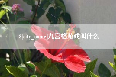 阳春九宫格游戏叫什么