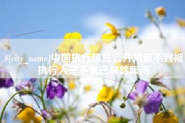 阳春中国执行信息公开网查不到被执行人是不是已解除限高