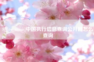 阳春中国执行信息查询公开网怎么查询