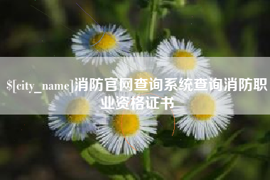 阳春消防官网查询系统查询消防职业资格证书