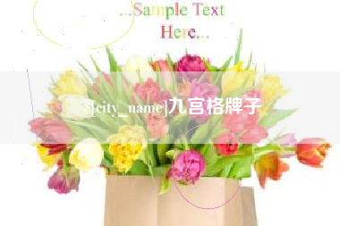 阳春九宫格牌子