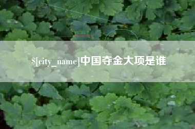 阳春中国夺金大项是谁