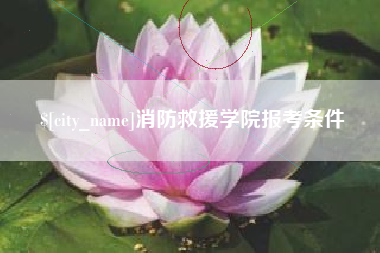 阳春消防救援学院报考条件