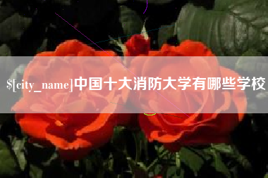 阳春中国十大消防大学有哪些学校