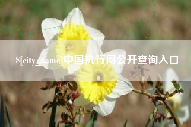 阳春中国执行网公开查询入口