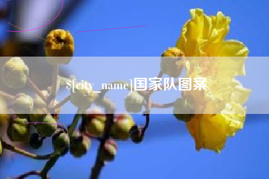 阳春国家队图案