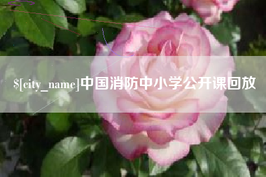 阳春中国消防中小学公开课回放
